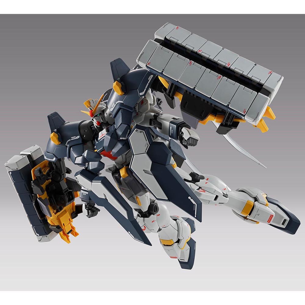 Original Bandai MG 1/100 Gunda - огляд і ціна Model Kit Lizard