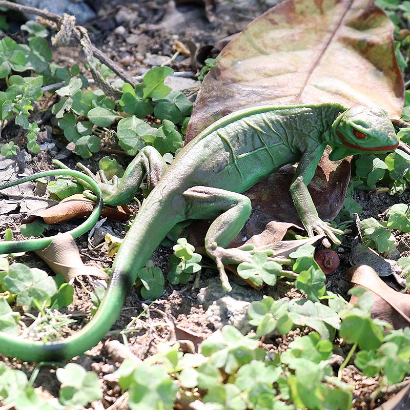 Oenux Farm Wild Model Simulati - огляд і ціна Model Kit Lizard