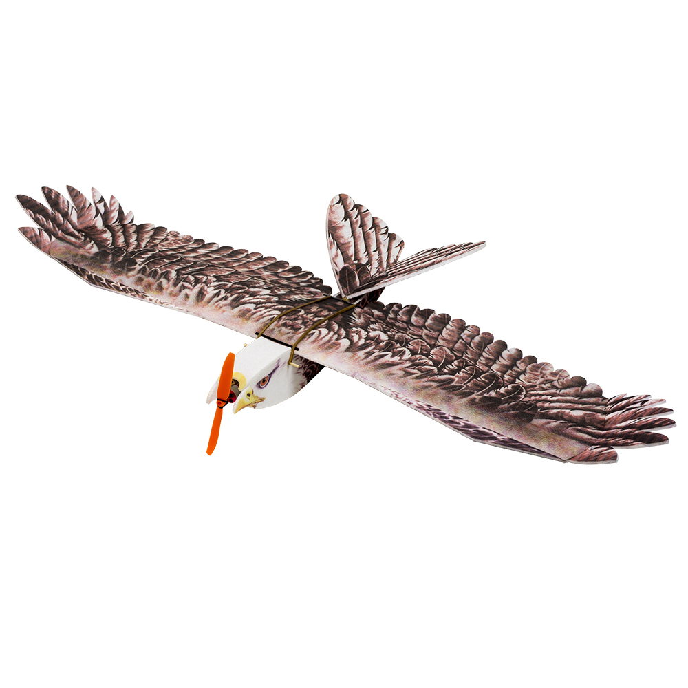 DW Hobby Eagle II EPP Airplane - огляд і ціна Model Kit Motor