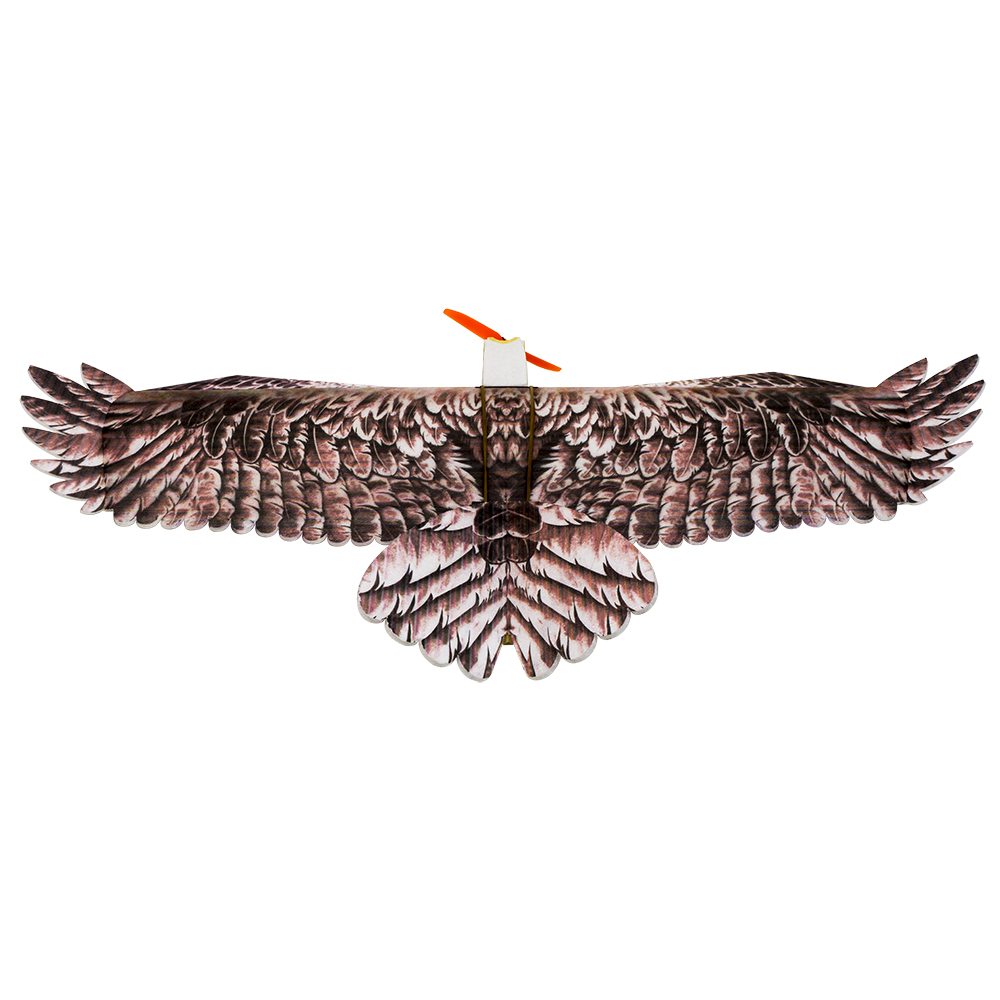 DW Hobby Eagle II EPP Airplane - огляд і ціна Model Kit Motor