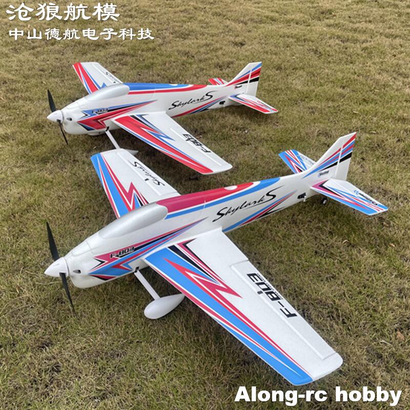 F803  F3A Skylarks 1000mm Wing - огляд і ціна Model Kit Motor