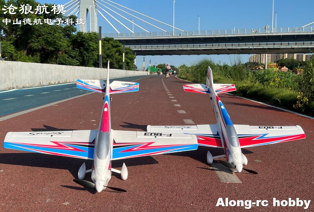 F803  F3A Skylarks 1000mm Wing - огляд і ціна Model Kit Motor