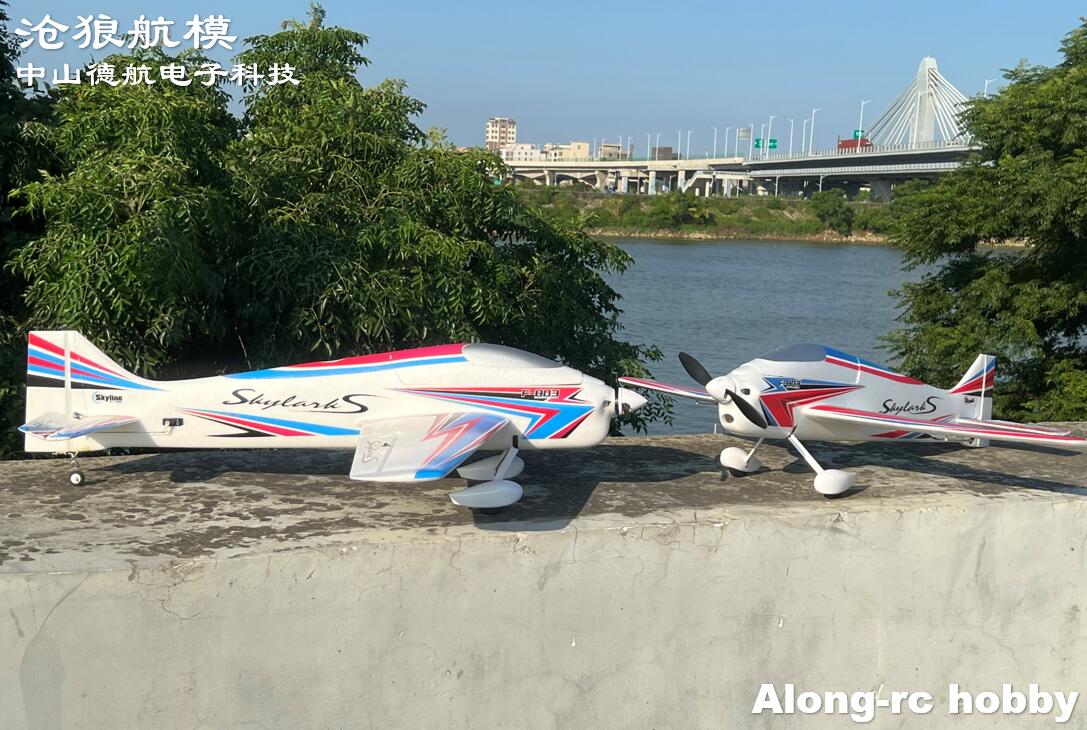 F803  F3A Skylarks 1000mm Wing - огляд і ціна Model Kit Motor